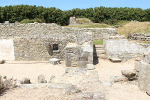 Iliz Koz