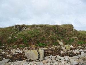IMG 7818