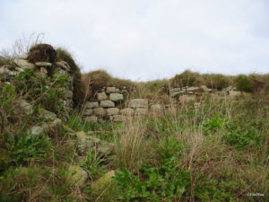 IMG 7819