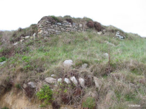 IMG 7822