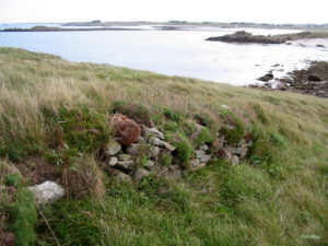 IMG 7828
