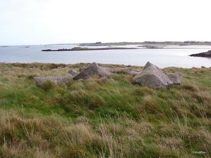 IMG_7829_resize