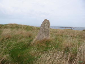 IMG_7832_resize
