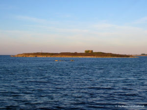 IMG 8003