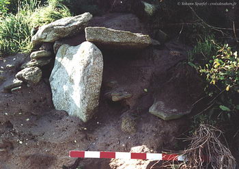 Ile_Tariec_coffre_2001_resize