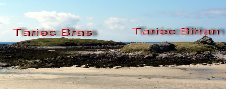 tariec_2
