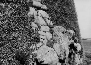 Tour Detail Mur Cote NE