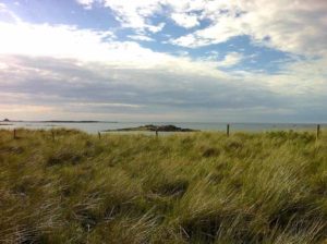 Dunes De Saint Pabu © JL Potier