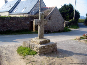 IMG 0828