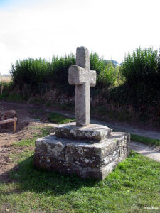 IMG 7719