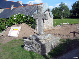 IMG 7721