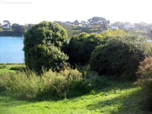 IMG 3318.JPG