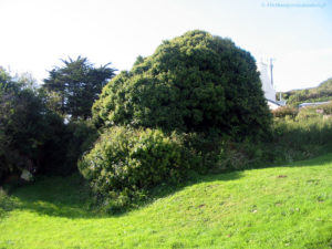 IMG 3319.JPG