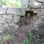 IMG 3687.JPG