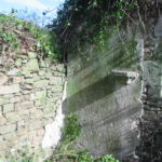 IMG 3688.JPG