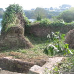 IMG 3695.JPG