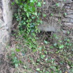 IMG 3704.JPG