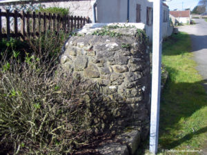 IMG 0148