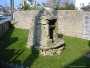 IMG 0820
