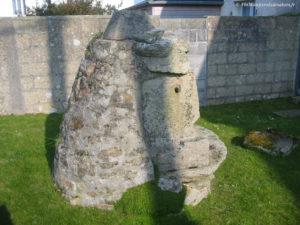 IMG 0824