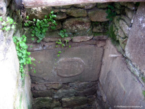 IMG 0925