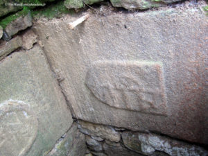 IMG 0927