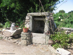 IMG 0972