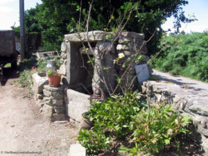 IMG 0973
