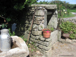 IMG 0974