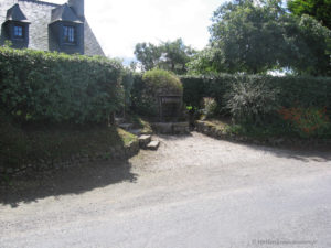 IMG 0980