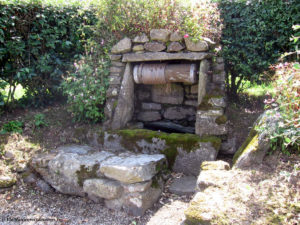 IMG 0981