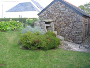 IMG 0984