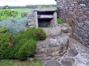 IMG 0985
