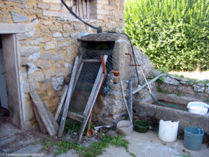 IMG 3386