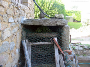 IMG 3388