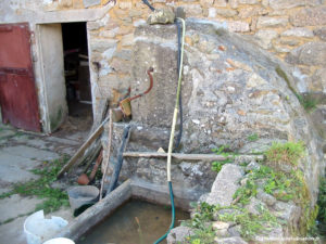 IMG 3393
