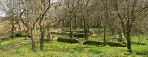 Ruines de la chapelle de Lesquelen