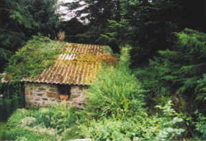 Poulfougou