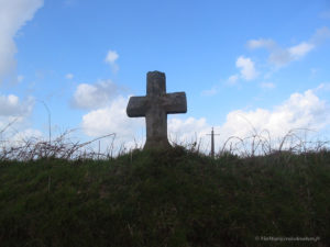 IMG 0082