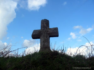 IMG 0083