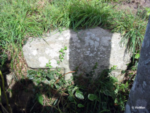IMG 7677