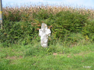 IMG 7678