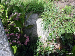 IMG 7678