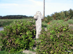 IMG 7679