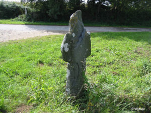 IMG 7681