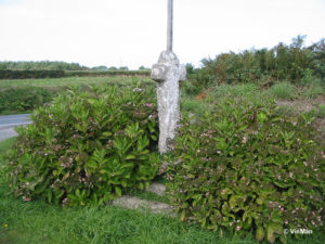 IMG 7681