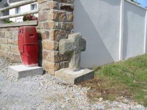 IMG 7683