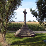 IMG 7691