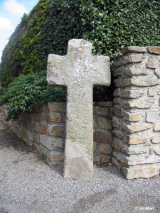IMG 7703