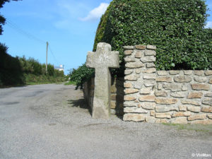 IMG 7704